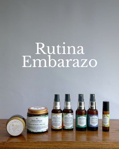Rutina Embarazo