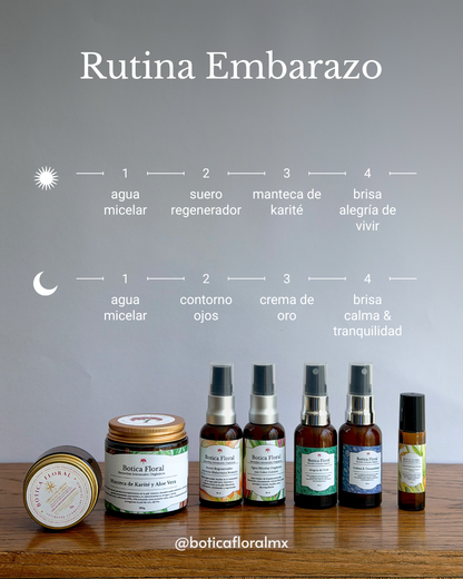 Rutina Embarazo
