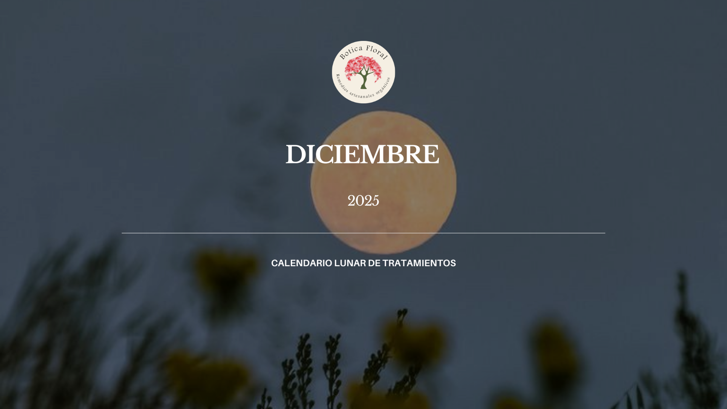 Calendario lunar Diciembre