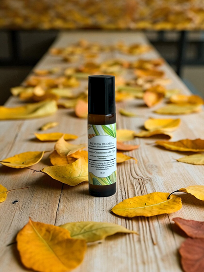 Kit Rutina de Otoño