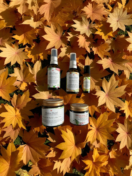 Kit Rutina de Otoño